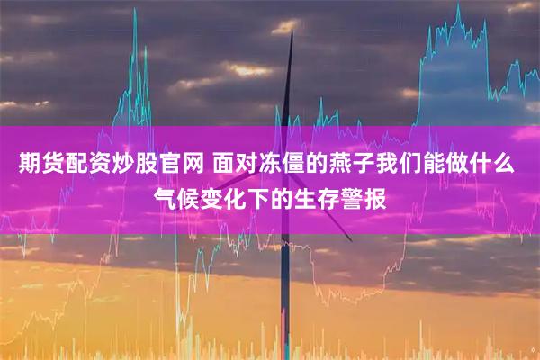 期货配资炒股官网 面对冻僵的燕子我们能做什么 气候变化下的生存警报