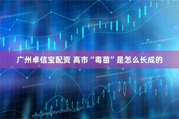 广州卓信宝配资 高市“毒苗”是怎么长成的